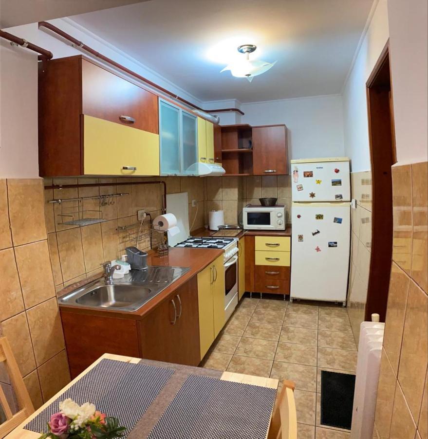 Appartement Zorilor à Suceava Extérieur photo